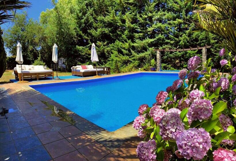 تختخواب و صبحانه South Landing Inn