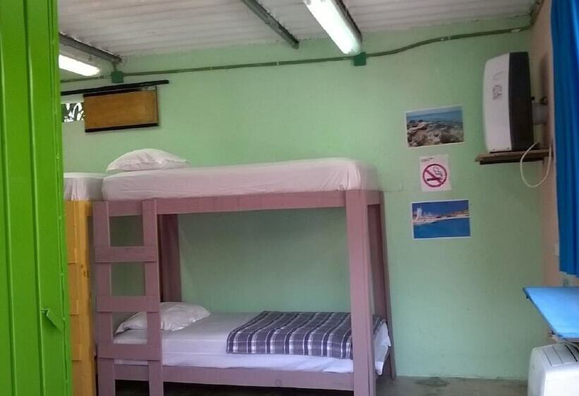 צימר Hostel Balagan