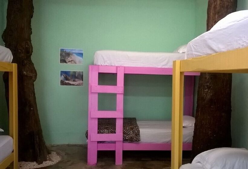 צימר Hostel Balagan