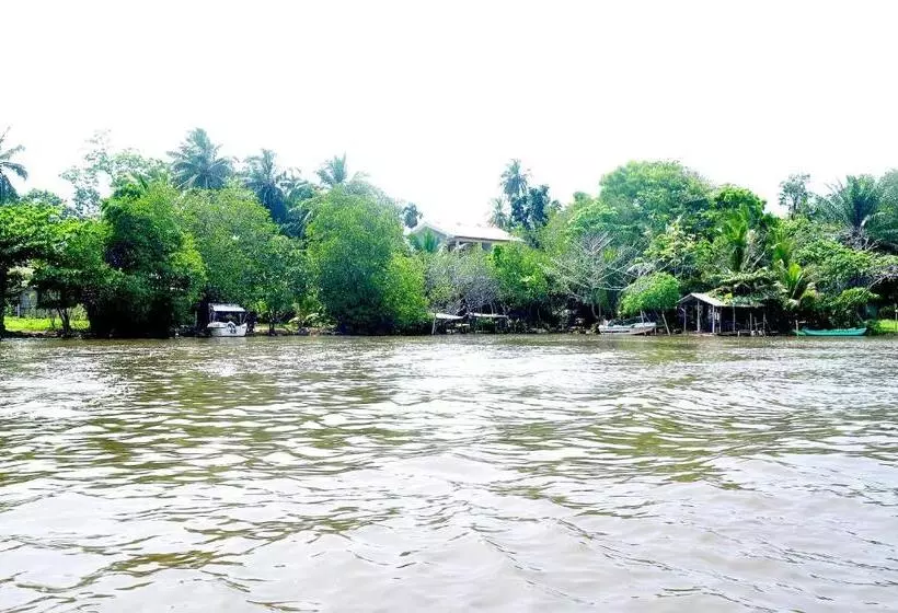 Aamiaismajoitus (B&B) Little Swan Guest House