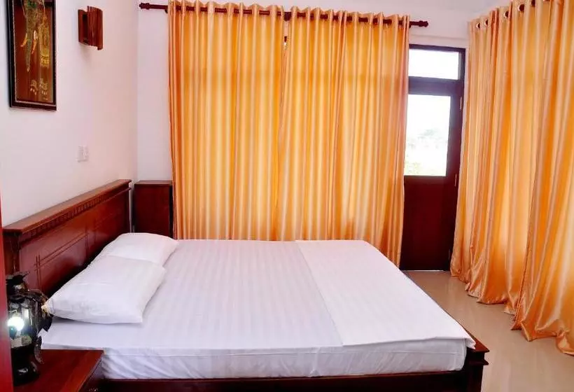 Aamiaismajoitus (B&B) Little Swan Guest House