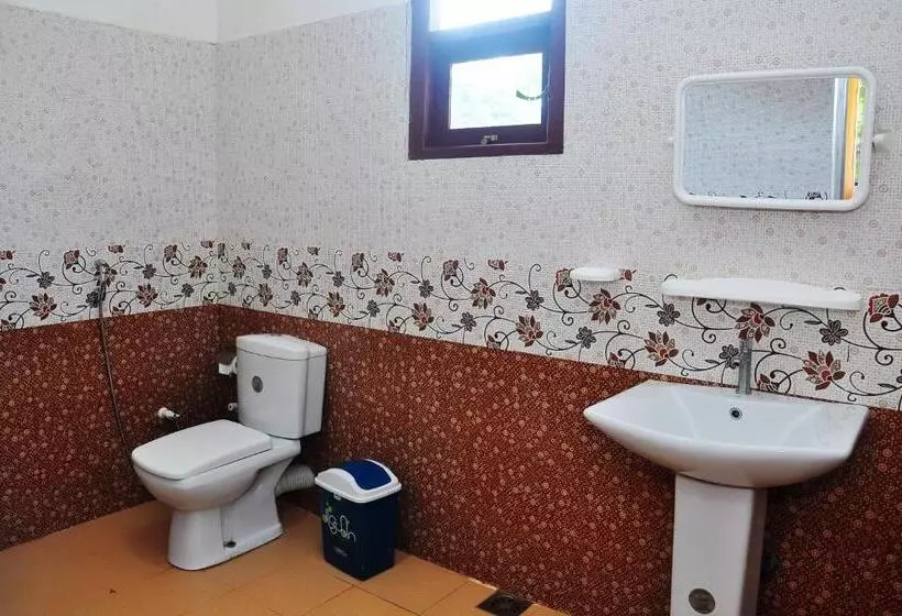Aamiaismajoitus (B&B) Little Swan Guest House