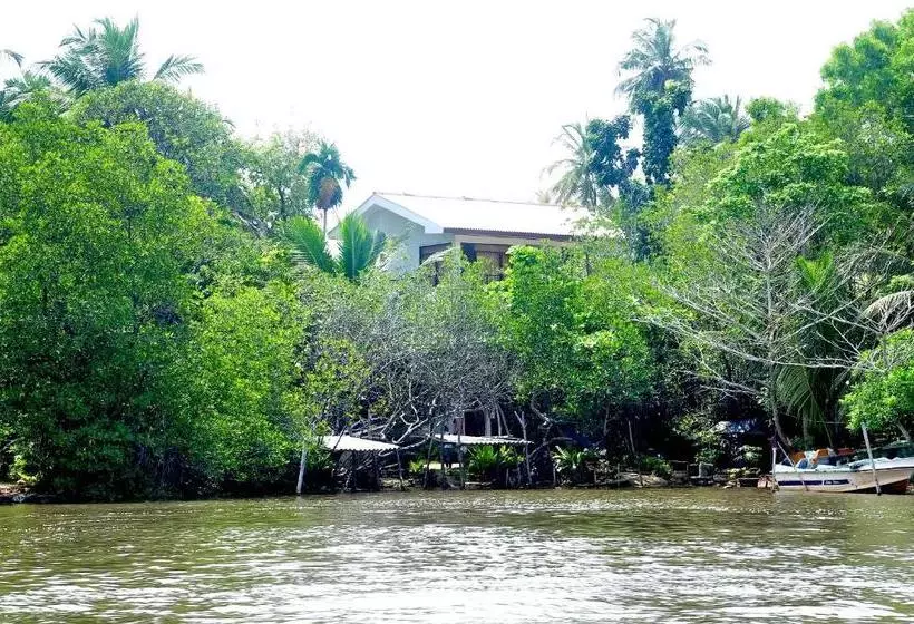 Aamiaismajoitus (B&B) Little Swan Guest House