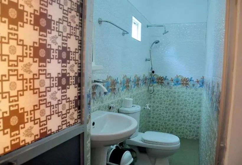 Aamiaismajoitus (B&B) Little Swan Guest House