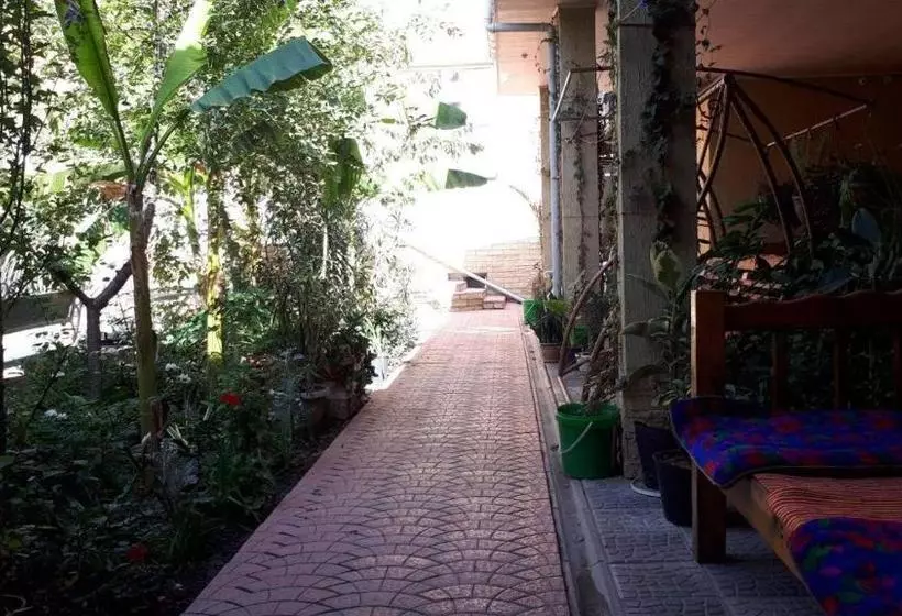 Pamir Hotel Hostel