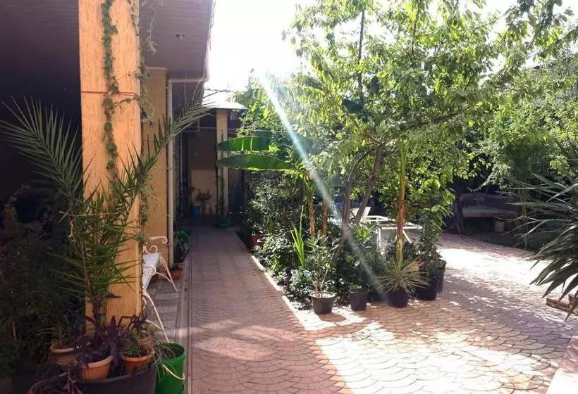 Pamir Hotel Hostel
