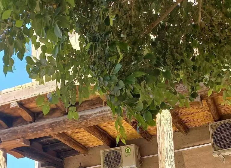 ペンション B&b, Khiva ,, Abdullah In Ichan Kala