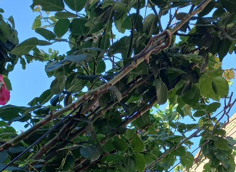 بنسيون B&b, Khiva ,, Abdullah  In Ichan Kala