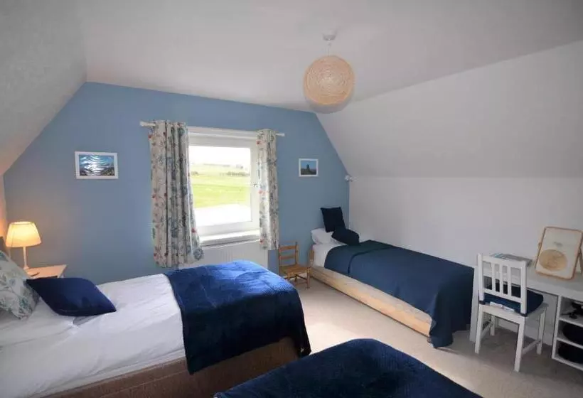 Aurora Bed & Breakfast