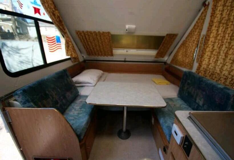 هاستل Boston Homestel