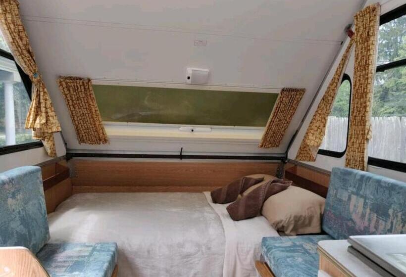 هاستل Boston Homestel