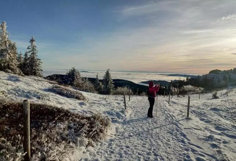 Hotelli Zur Waldbahn