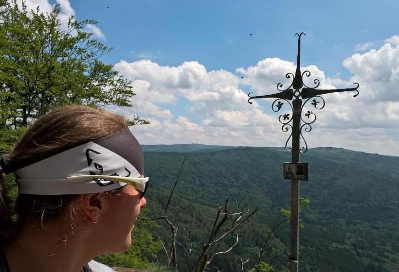 Отель Zur Waldbahn