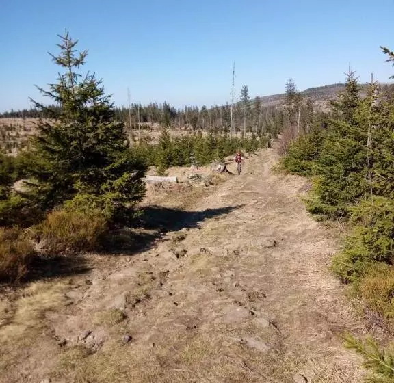 Hotelli Zur Waldbahn