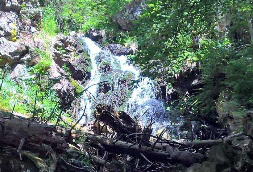 Отель Zur Waldbahn