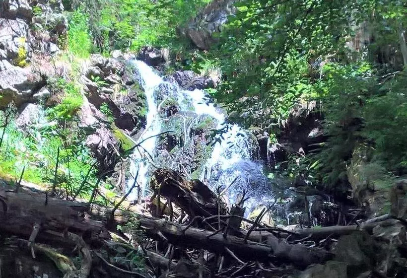 Hotelli Zur Waldbahn