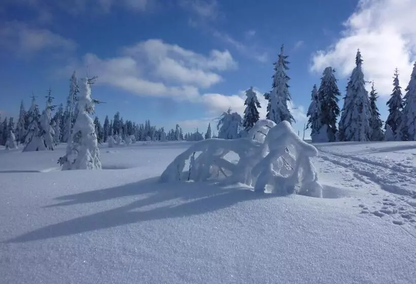 Hotelli Zur Waldbahn