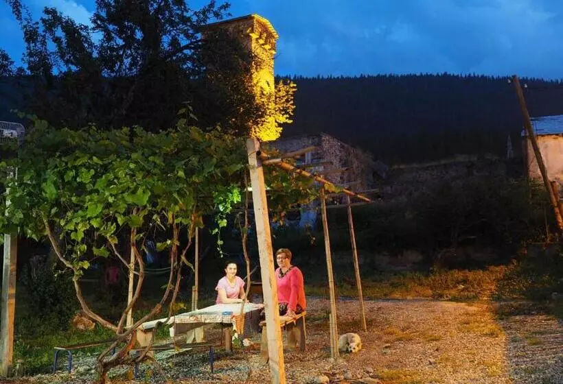 پانسیون Inga Jafaridze Guesthouse Pele