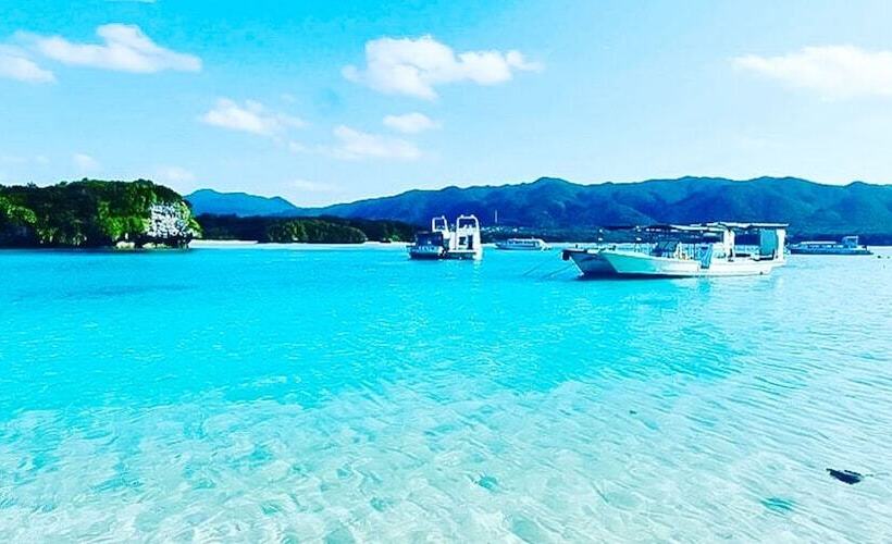 펜션 全室個室のゲストハウス オプンティア Guesthouse Opuntia