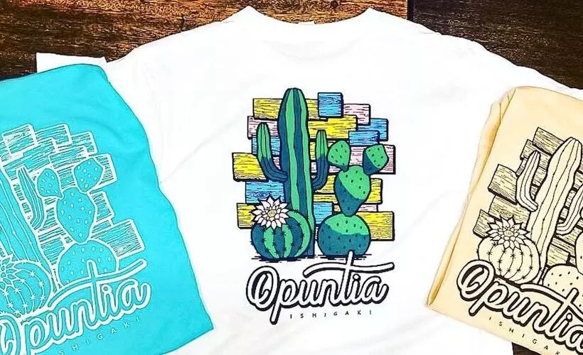 پانسیون 全室個室のゲストハウス オプンティア Guesthouse Opuntia