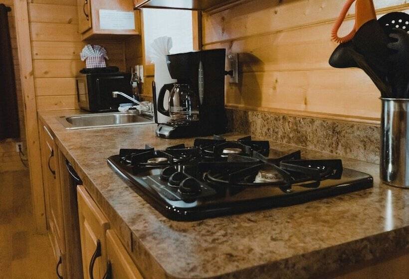 Общежитие Ouray Riverside Resort Inn & Cabins