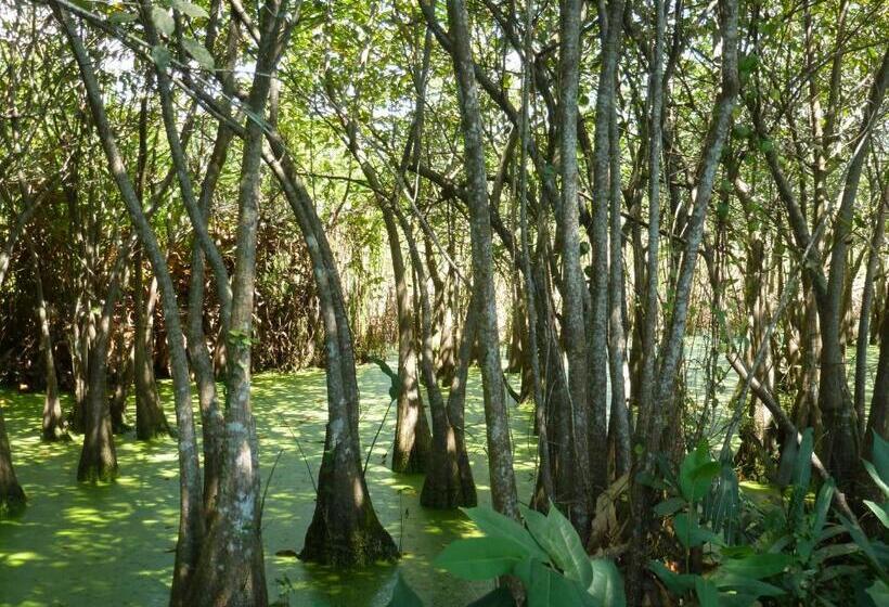 בית מלון כפרי Ayubowan Swiss Lanka Bungalow Resort