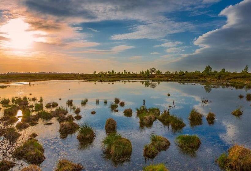 Bed and Breakfast La Trouvaille