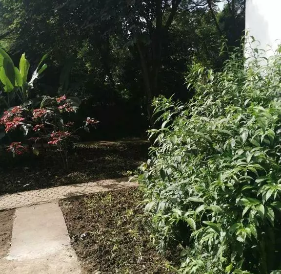 Green Garden Hostel