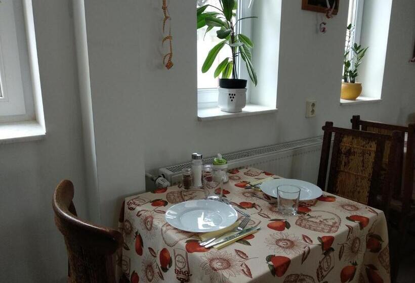 پانسیون Acopark Vendégház