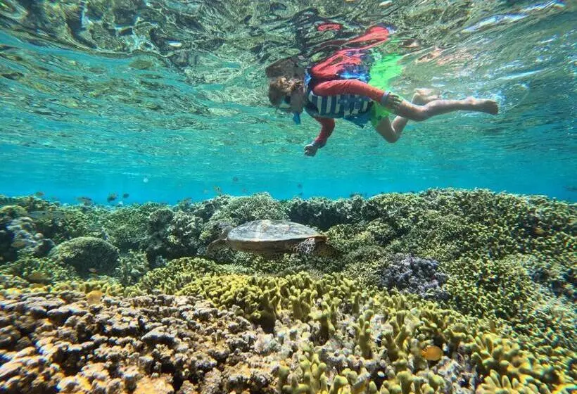 ペンション Menjangan Dive Lodge