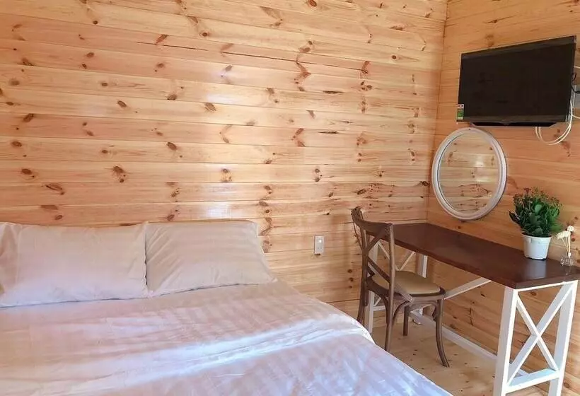 تختخواب و صبحانه An An House   Hostel