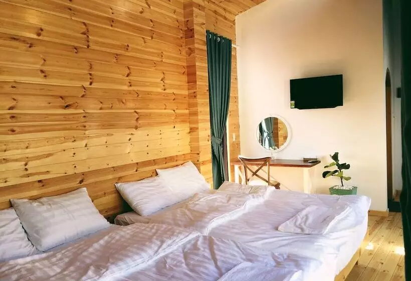 تختخواب و صبحانه An An House   Hostel