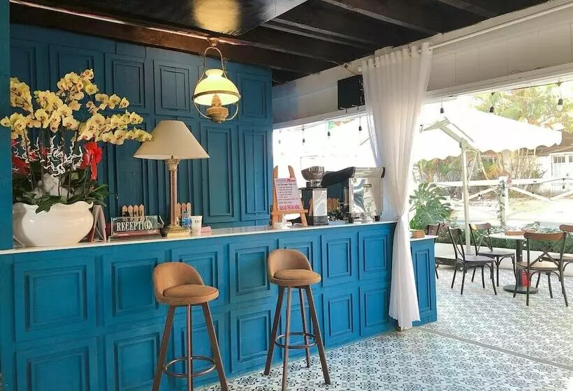 تختخواب و صبحانه An An House   Hostel