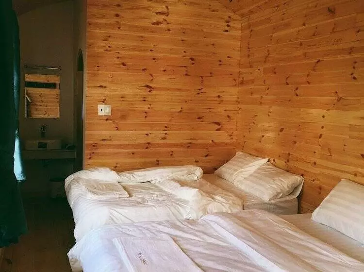 تختخواب و صبحانه An An House   Hostel