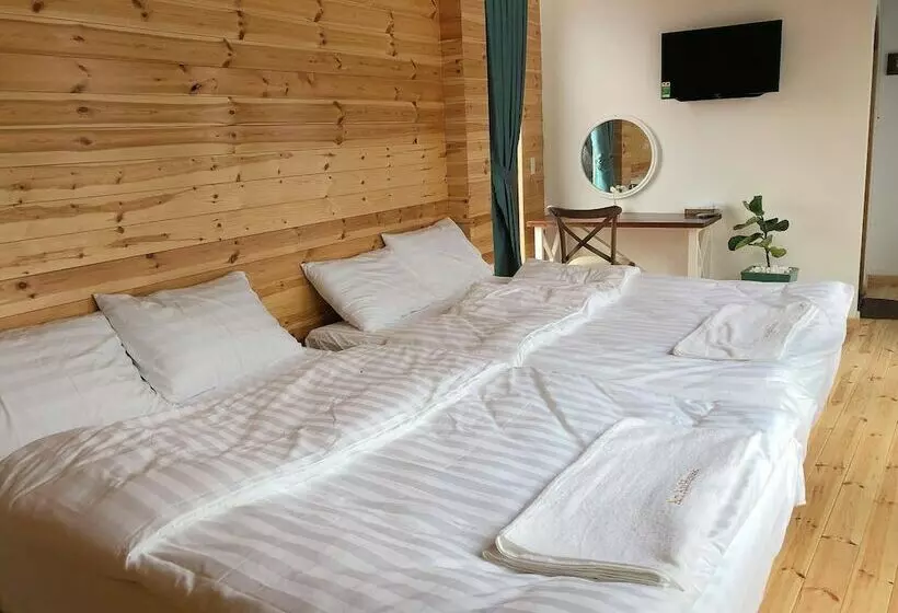 تختخواب و صبحانه An An House   Hostel