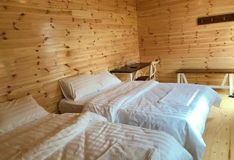 تختخواب و صبحانه An An House   Hostel