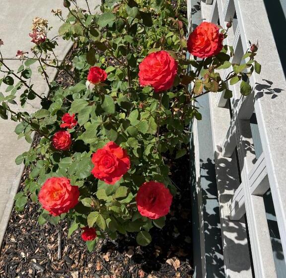 住宿加早餐 Lodi Hill House