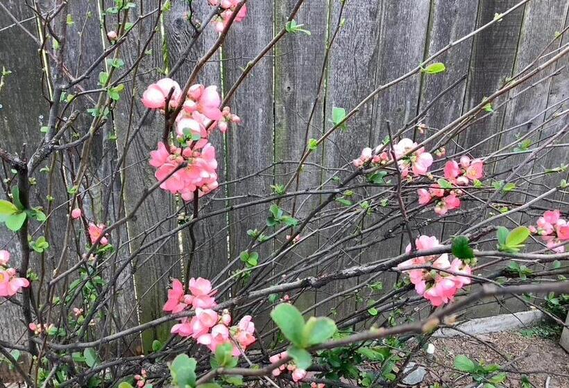 住宿加早餐 Lodi Hill House