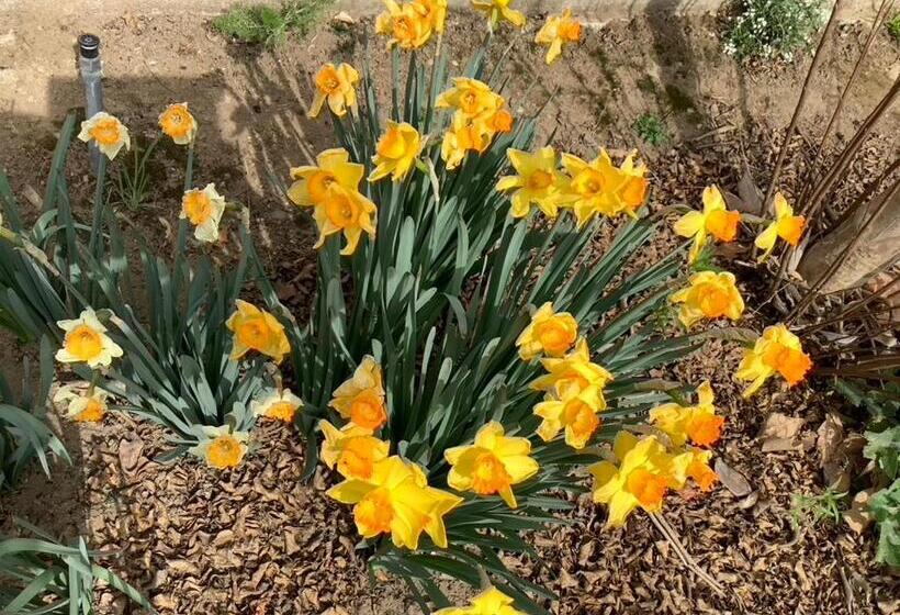 住宿加早餐 Lodi Hill House