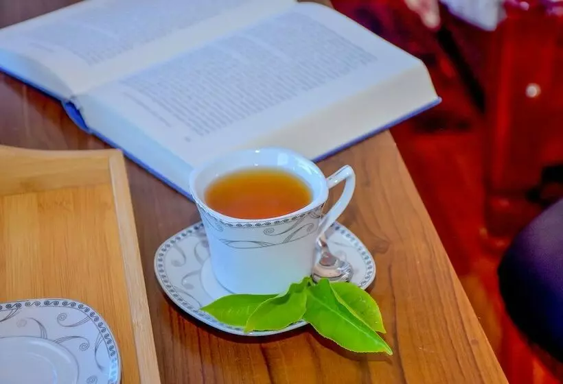 ホテル Little Stream Bungalow