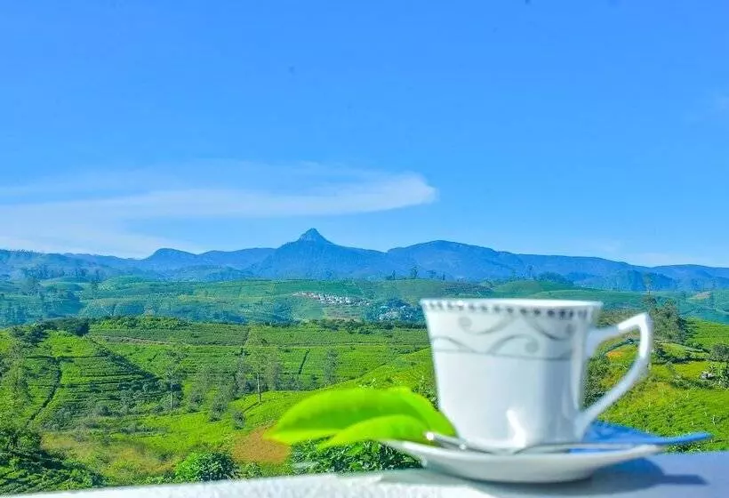 ホテル Little Stream Bungalow