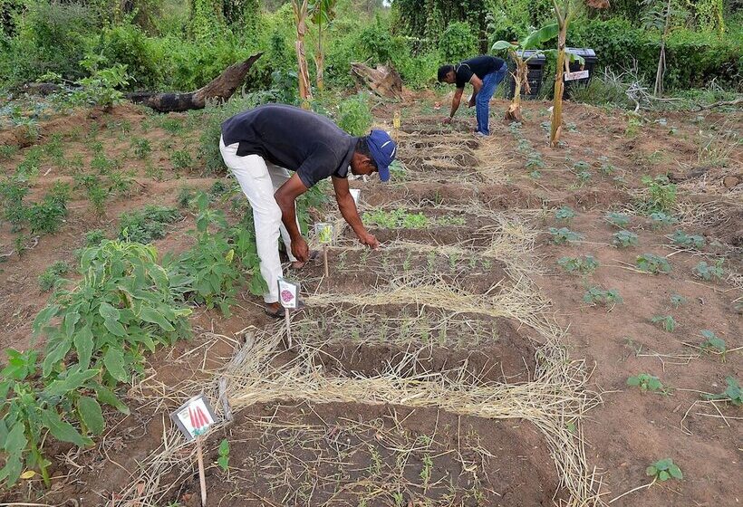 فندق Sigiriya King S Resort