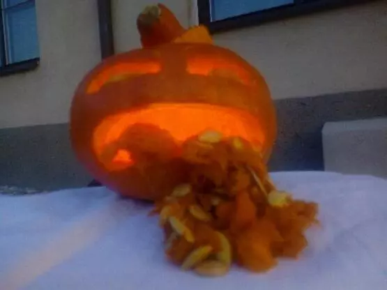 Majatalo Nábřežní Terasy