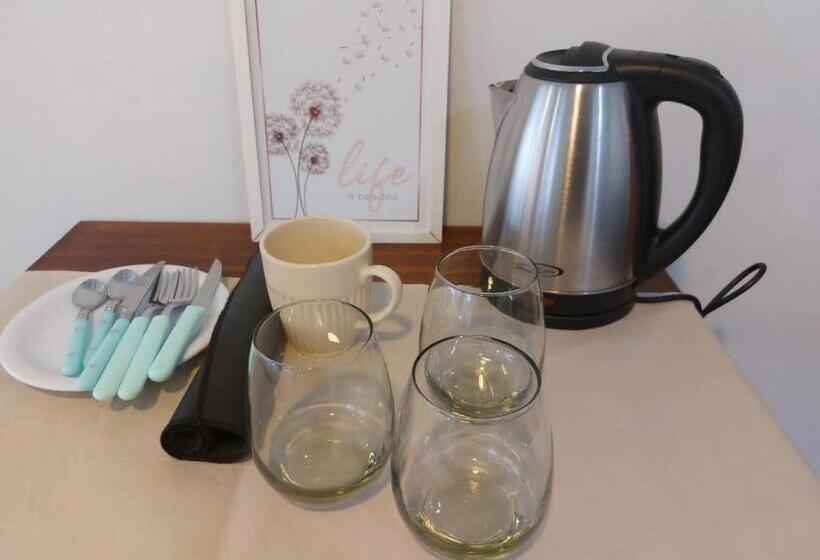 پانسیون Vidorra Calafate