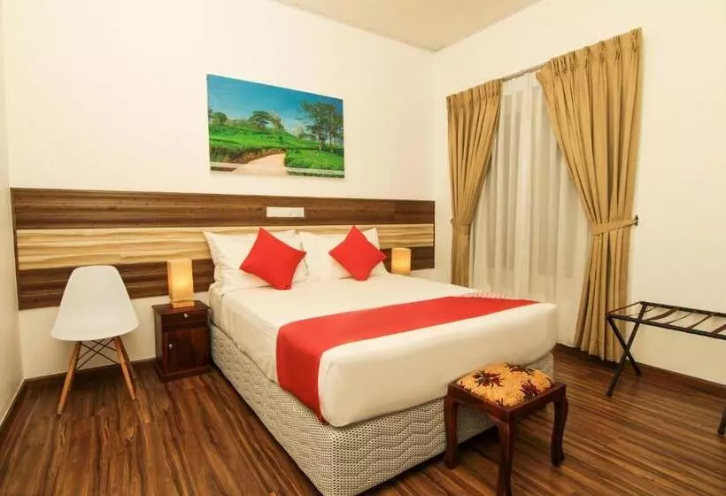 ホテル Clove Transit