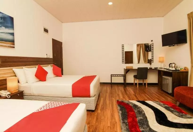 ホテル Clove Transit