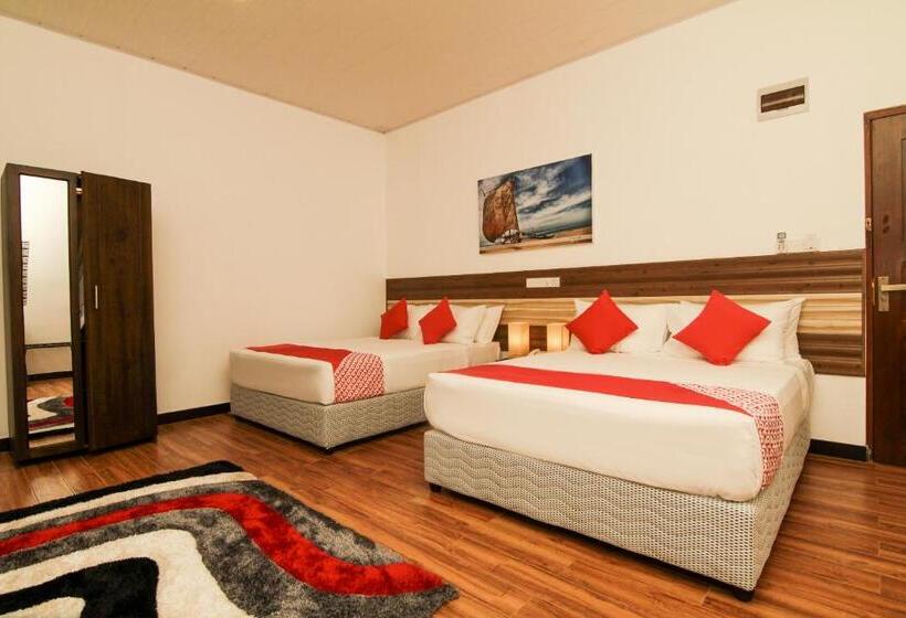 فندق Clove Transit