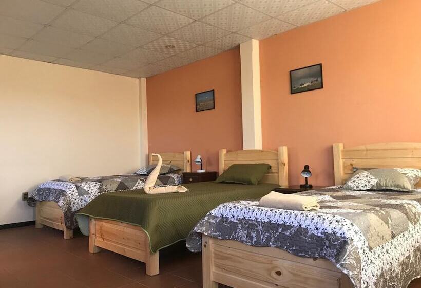 هاستل Cittadella Hostal