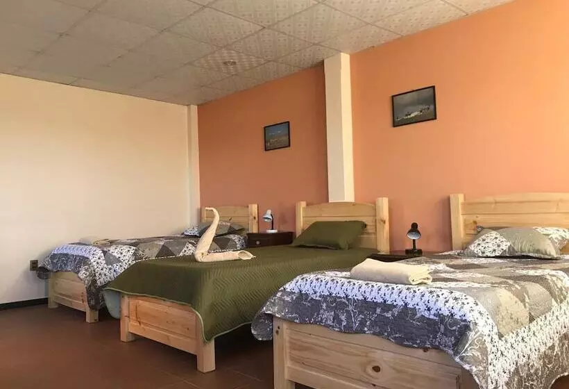 هاستل Cittadella Hostal