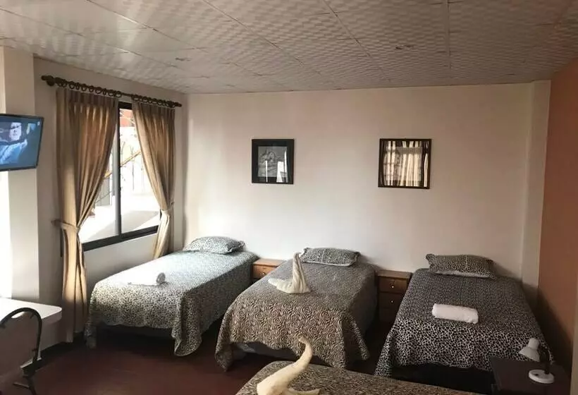 هاستل Cittadella Hostal